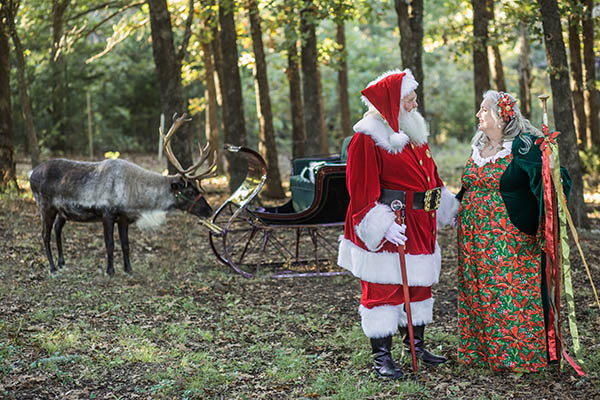 Santa and Jossie with the reindeer and sleigh.